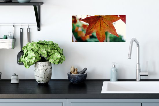 Affiche Automne - Rural - Feuilles - Saisons - Rural - 40x20 cm