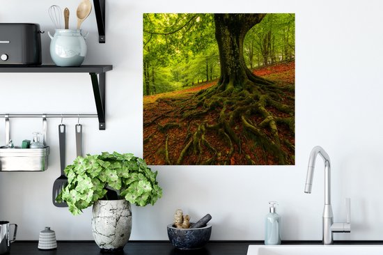 Poster Arbre - Forêt - Feuilles d'Automne - 50x50 cm