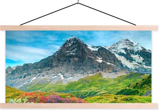 Posterhanger incl. Poster - Schoolplaat - Bloemen - Berg - Sneeuw - Landschap - 150x75 cm - Blanke latten