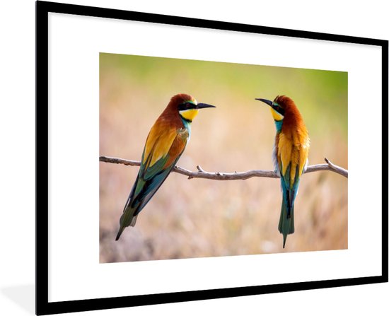 Cadre photo avec affiche - Vogels - Guêpier - Animaux - 120x80 cm - Cadre pour affiche