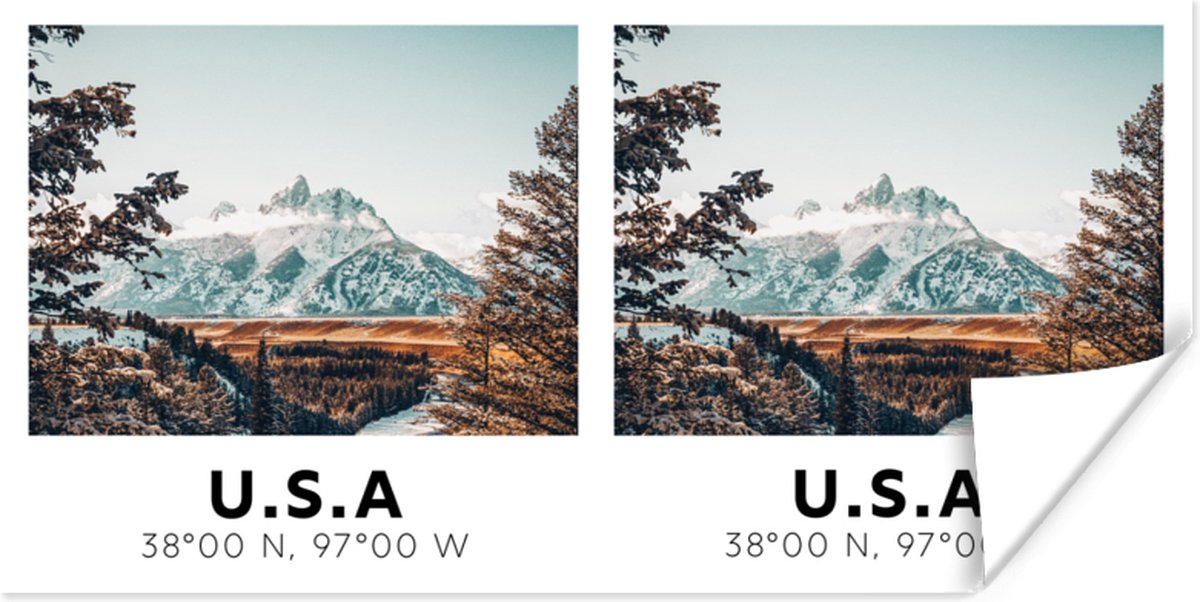Poster Amerika - Rocky Mountains - Bomen - 120x60 cm