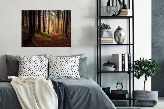 Affiche Arbres - Nature - Forêt - 80x60 cm