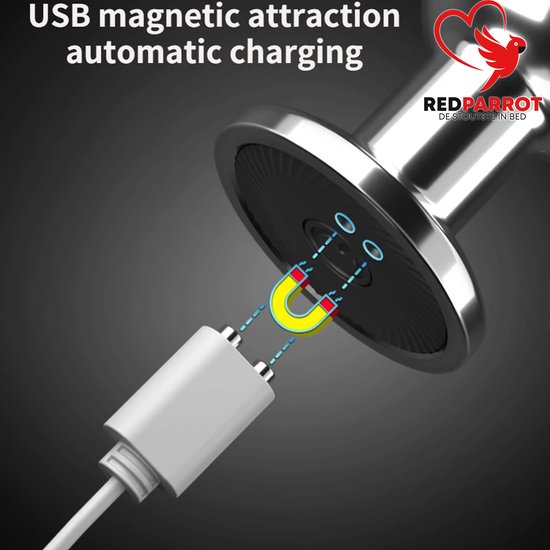 Modèle Anatomique Règle De Jauge VDO Apollo Pour Implants Dentaires Acier Inoxydable Mesure D