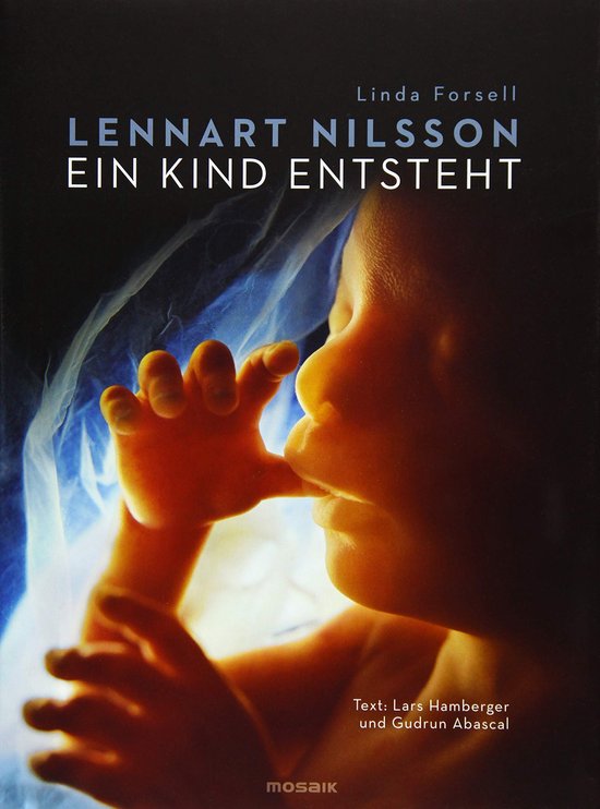 Ein Kind entsteht - cover