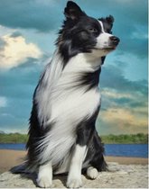 Diamond Painting Hond - 40x50 cm - Vierkante steentjes - Compleet Hobbypakket - Volledig te beplakken