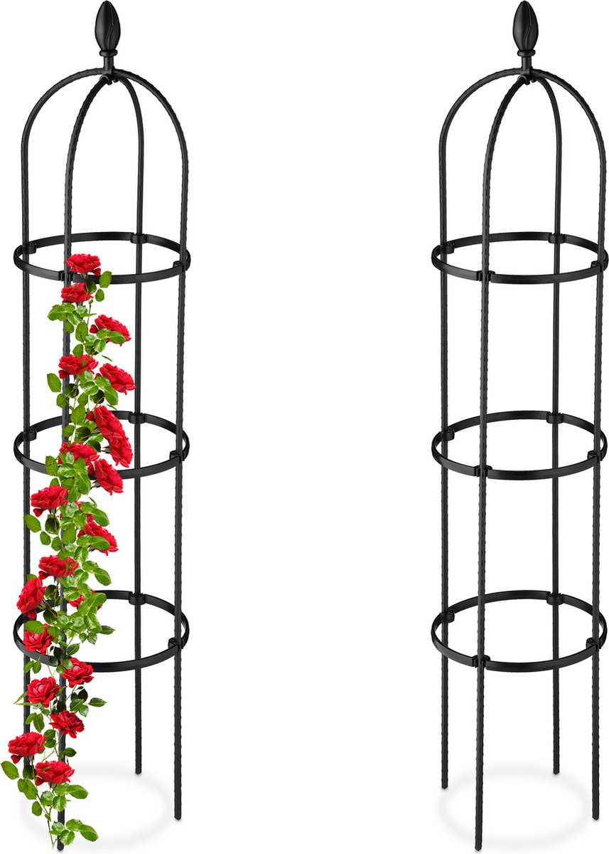 Plantensteun voor klimplanten zwart kopen