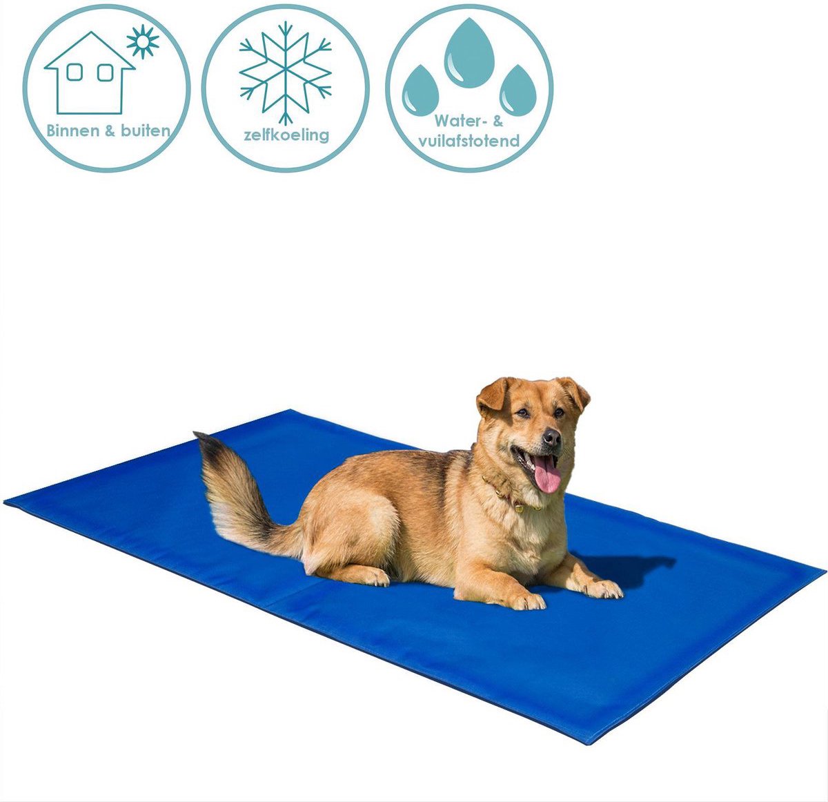 Hou je hond koel! 7 tips om je hond de zomer door te helpen