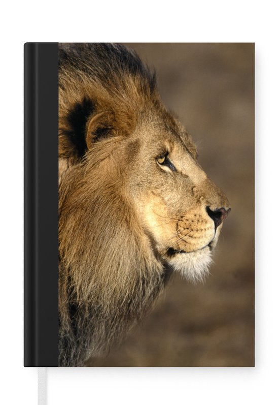 Carnet - Carnet D'écriture - Arc-en-ciel - Coeur - Points - Enfants - Carnet - Format