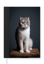 Notitieboek - Schrijfboek - Kat - Huisdieren - Licht - Notitieboekje klein - A5 formaat - Schrijfblok
