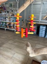 Klein reuzenrad schommel papegaaien/vogel speelgoed
