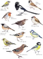 JUNIQE - Kinder canvas Vogel illustratie -20x30 /Kleurrijk