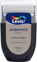 Levis Ambiance - Kleurtester - Mat - Oneindig Grijs - 0.03L