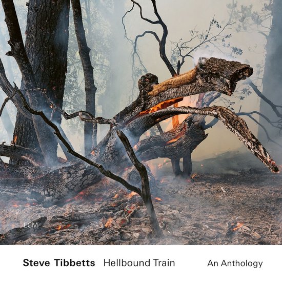 Steve Tibbetts - Hellbound Train - An Anthology (2 CD)