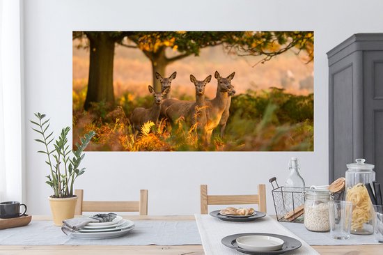 Stickers muraux - Film autocollant - Animaux de la forêt - Cerf - Lumière - 120x60 cm - Film adhésif - Stickers muraux chambre d'enfant - Papier peint autocollant - Papier peint autocollant - Film autocollant