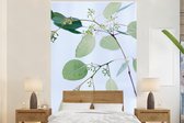 Behang - Fotobehang Eucalyptustakken met bladeren - Breedte 200 cm x hoogte 300 cm