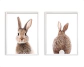 Poster Set 2 Lief konijntje voor en achterkant - billen / Bos / 80x60cm
