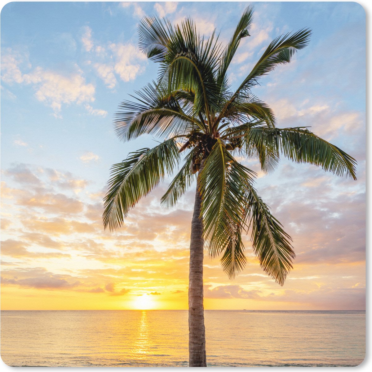 Muismat XXL 80x80 cm - Bureau onderlegger - Bureau mat Strand - Palmboom - Zonsondergang - Bureaumat - Gaming mousepad xl - Bureaulegger groot - Computer deskmat