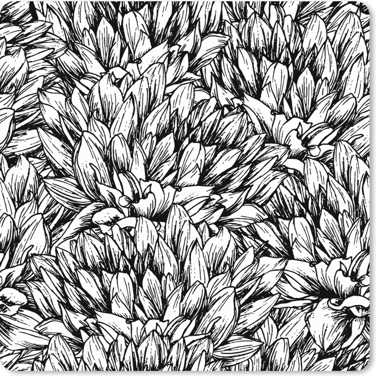 Muismat XXL 80x80 cm - Bureau onderlegger - Bureau mat Bloemen - Zentangle - Patronen - Bureaumat - Gaming mousepad xl - Bureaulegger groot - Computer deskmat