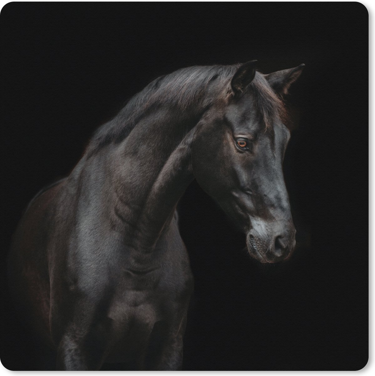 Muismat XXL 50x50 cm - Bureau onderlegger - Bureau mat Paard - Dier - Zwart - Bureaumat - Gaming mousepad xl - Bureaulegger groot - Computer deskmat