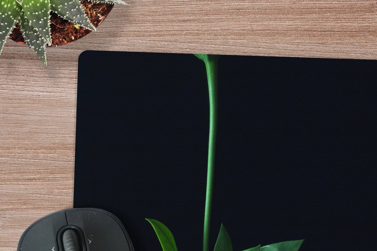 Muismat XXL 50x50 cm - Bureau onderlegger - Bureau mat Een groene stengel met twee bladeren tegen een zwarte achtergrond - Bureaumat - Gaming mousepad xl - Bureaulegger groot - Computer deskmat