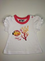 Nini - T-shirtje/Shirtje Lotte - Maat 62 - 2 t/m 4 maanden