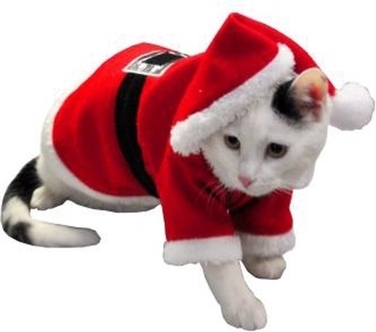 Kerstkleding Voor Hond of Kat - Dierenkleding - Rood | bol.com