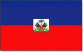 Vlag Haiti 90 x 150 cm feestartikelen - Haiti landen thema supporter/fan decoratie artikelen