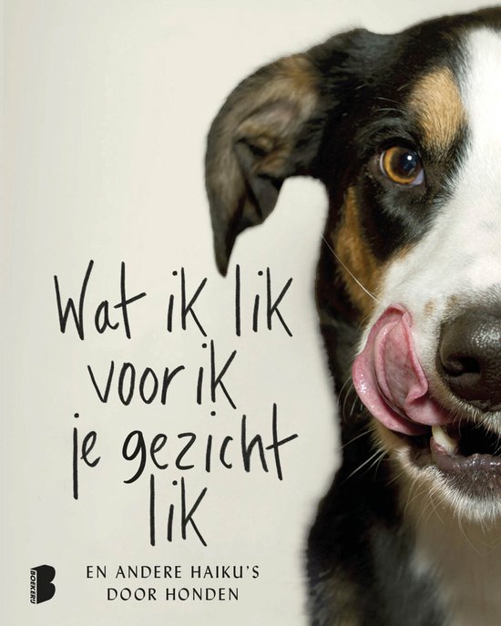 Wat ik lik voor ik je gezicht lik