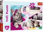 Trefl: Puzzle 160 - Lovely Kittens