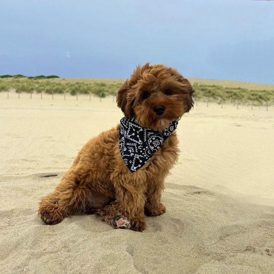 Bandana Voor Honden. Maat M In De Kleuren Roestbruin En Beige Dubbelzijdig Te Dragen Halssjaal Halsdoek Bandana 2 In 1 Dogscarf Hondenfashion Hondenkleding Modeaccessoires Voor Honden Madebyshuko