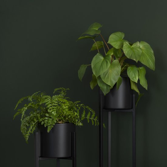 Twee zwarte plantenstandaarden met planten.