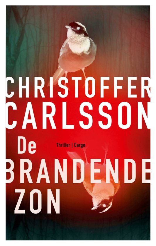 De brandende zon - cover