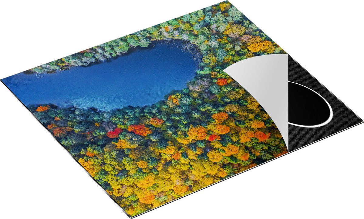Chefcare Inductie Beschermer Kleurrijke Bos met Bomen naast een Meer - 60x52 cm - Afdekplaat Inductie - Kookplaat Beschermer - Inductie Mat