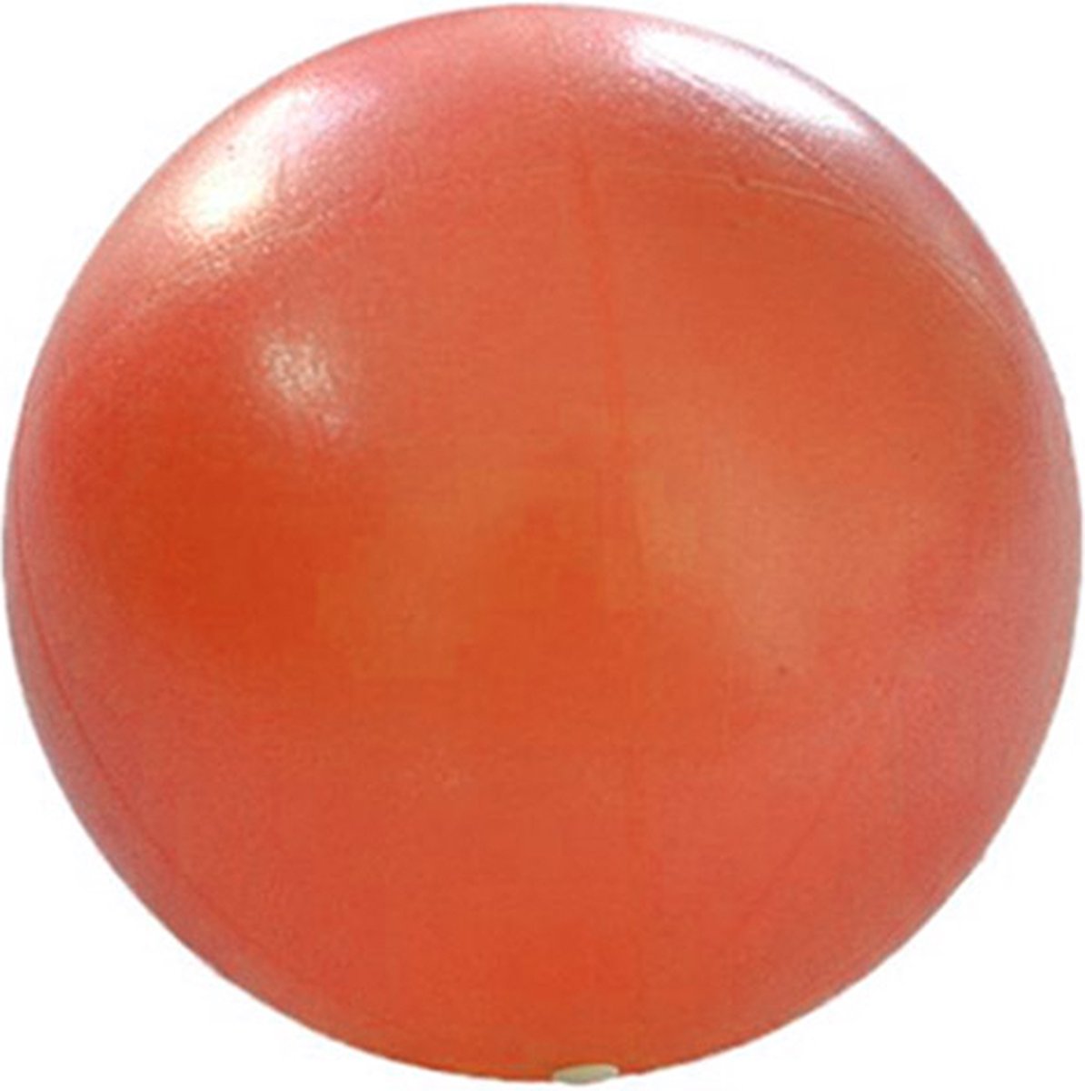 DW4Trading Yoga Gymbal Oranje - Fitness - Pilates - Swiss Bal - 25 cm