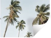 Stickers muraux - Palmiers - Été - Tropical - 160x120 cm - Film Adhésif XXL