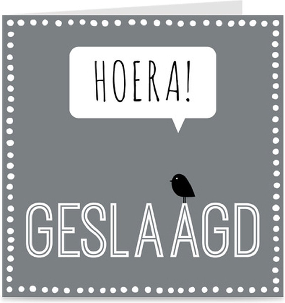 GESLAAGD | kaart / wenskaart met envelop | voor diploma of rijbewijs