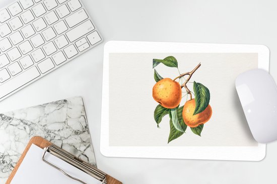 Muismat 27x18 cm - Mousepad Sinaasappel - Bladeren - Plant - Muismatten