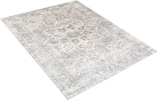 Tapiso Valley Tapis Salon Chambre Gris Clair Cadre Design Moderne Fleurs Durable Vintage Haute Qualité Tapis Taille - 200x300