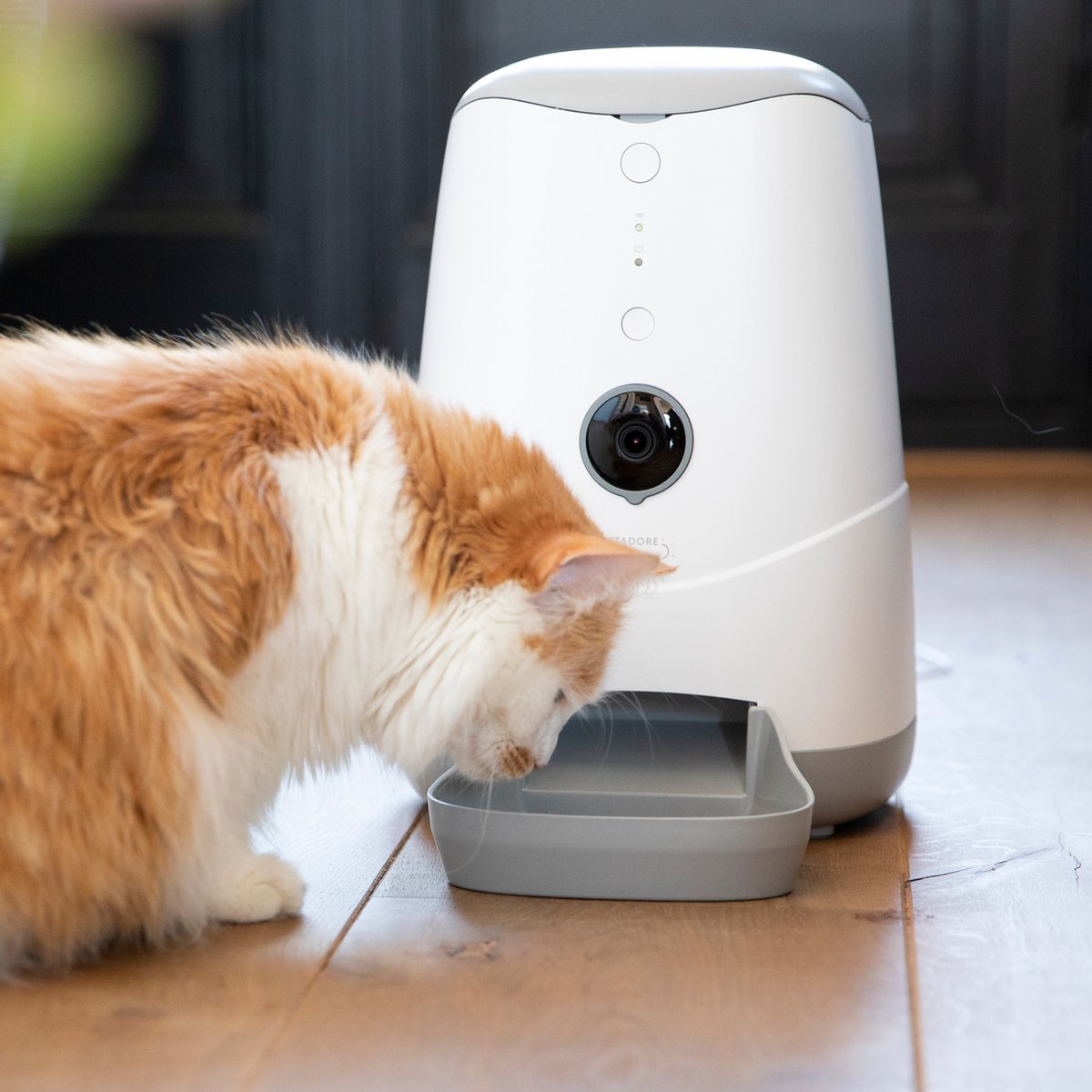 Petoneer Smart Dot - Pointeur laser intelligent pour chat - Jouets animaux  - Petoneer