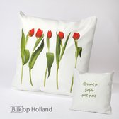 HUGS buitenkussen | dansende tulpen | 50x50 | dubbelzijdig | outdoor kussen | tuinkussen met tekst | terras aankleding | waterafstotend