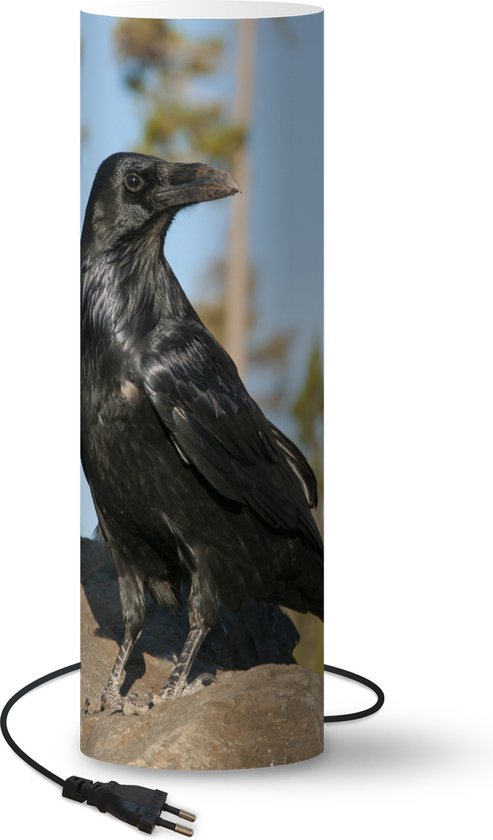Générique Lampe Corbeau,Déco Maison Vintage Gothique Résine | Nouveauté