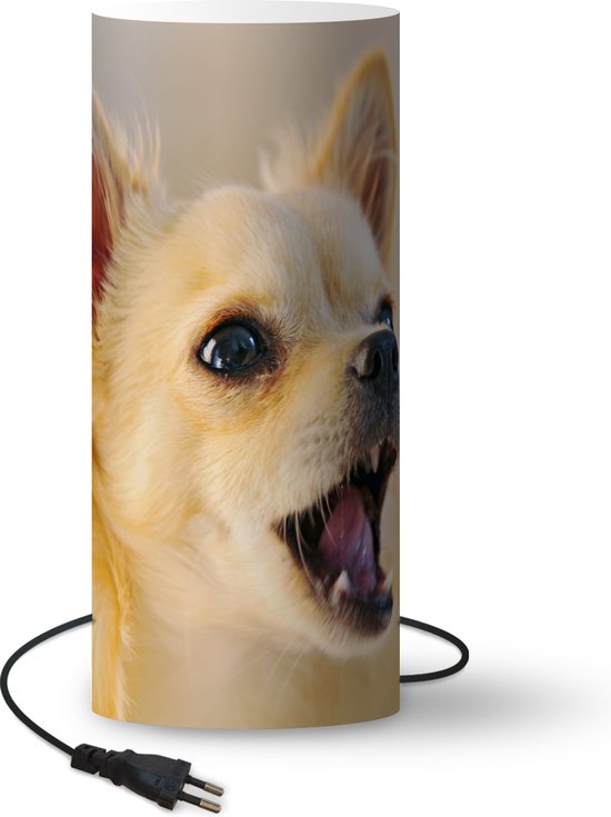 Lampe Chihuahua - Chihuahua avec bouche ouverte - 33 cm de haut - Ø14 cm -  Avec lampe... | bol.com