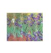 Paperblanks Van Gogh's Irises, gastenboek blanco