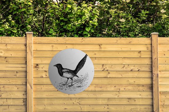 Affiche de jardin Illustration de pie ronde - Illustration ancienne d'une pie Affiche de jardin - Affiche de jardin ronde 90x90 cm - Toile de jardin/Toile d'extérieur/ Peintures pour l'extérieur (décoration de jardin)