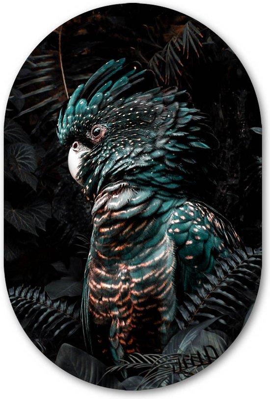Muurovaal Kaketoe papegaai in jungle - WallCatcher | Geborsteld Aluminium 70x105 cm | Ovalen schilderij | Wandovaal Jungle Cockatoo