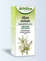 Biover Allium Ursinum Tinctuur