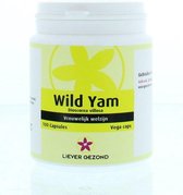 Wild Yam Root Special Energy
