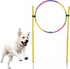 foto van Agility Voor De Hond - Hoepel Springen - Honden Training -Slalom Hond Trainen - Behendigheid