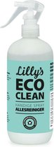 Lillys Eco Clean Allesreiniger eucalyptus