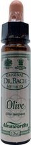 Ainsworths Olive Bach Flower Remedy - 10 ml - Etherische Olie